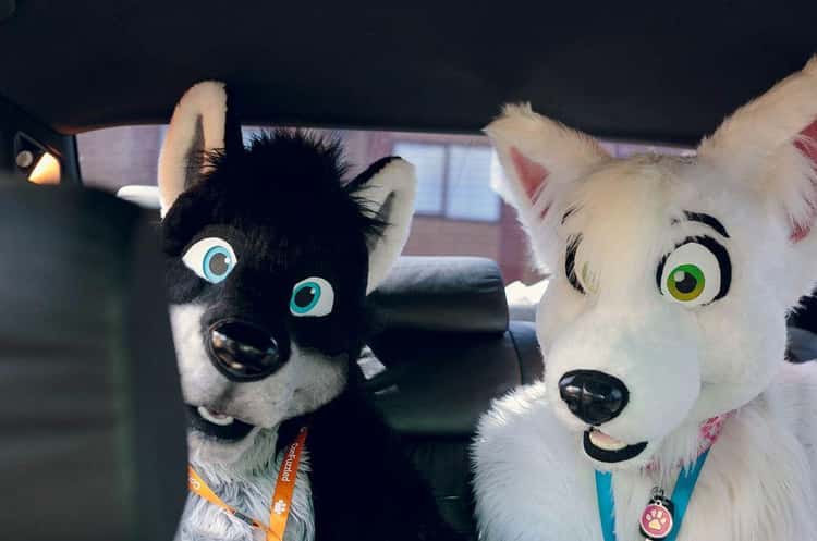 Sex Furry Costumes
